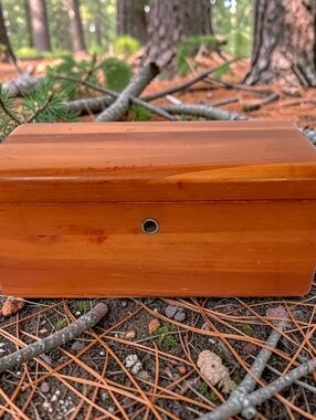 Vtg Mini Lane Cedar Chest Jewelry Trinket Keepsake Box No Key Salesman Sample